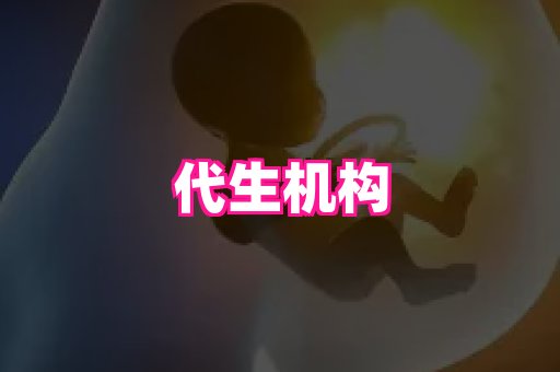 潍坊助孕网 3