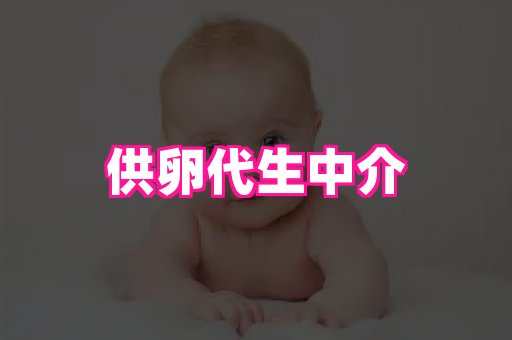 潍坊助孕网 4